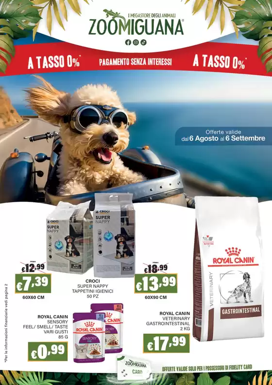 Volantino Zoomiguana | Volantino Zoomiguana | 2026-08-06T00:00:00.000Z - 2026-09-06T00:00:00.000Z
