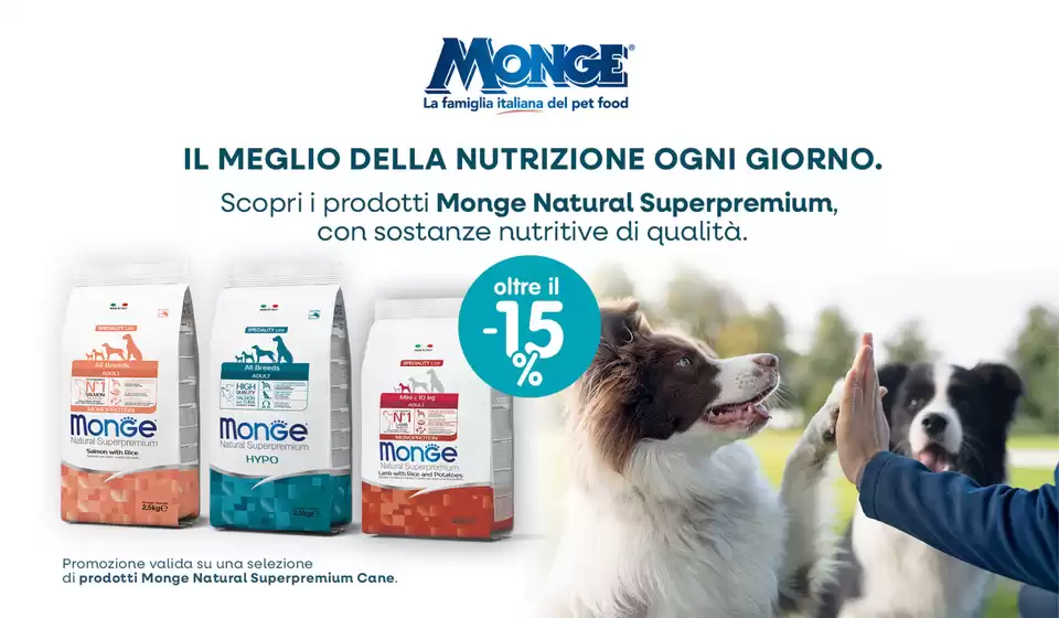 Volantino Homery | Oltre il -15% | 2026-08-21T00:00:00.000Z - 2026-09-02T00:00:00.000Z