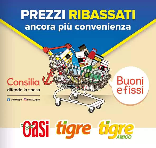 Volantino Tigre a Maser | Prezzi ribassati | 2026-08-20T00:00:00.000Z - 2026-10-07T00:00:00.000Z