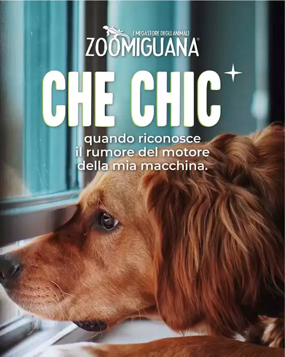 Volantino Zoomiguana a Ascoli Piceno | Offerte Zoomiguana | 2026-08-27T00:00:00.000Z - 2026-09-10T00:00:00.000Z