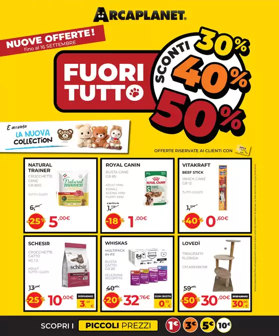 Volantino Arcaplanet a Camerata Cornello | Fuori Tutto | 2026-08-27T00:00:00.000Z - 2026-09-16T00:00:00.000Z