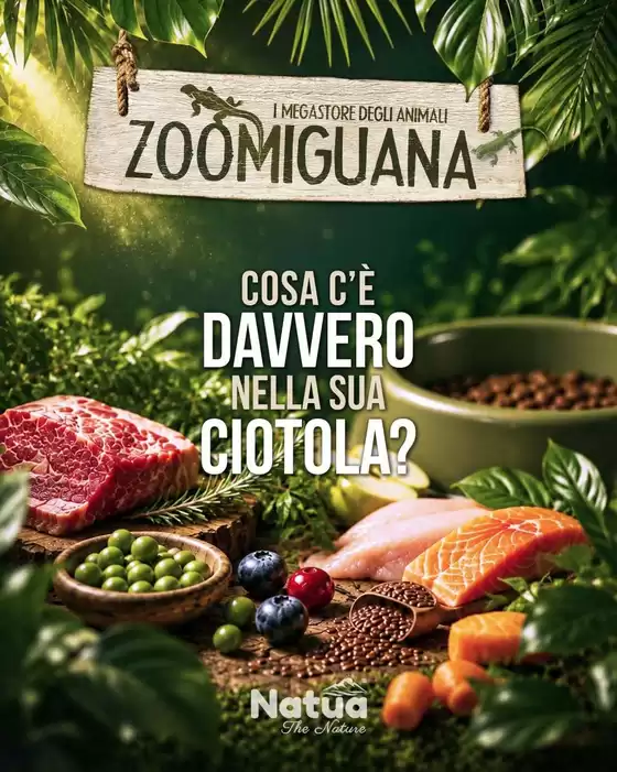 Volantino Zoomiguana a Marcianise | Offerte Zoomiguana | 2026-09-06T00:00:00.000Z - 2026-09-20T00:00:00.000Z
