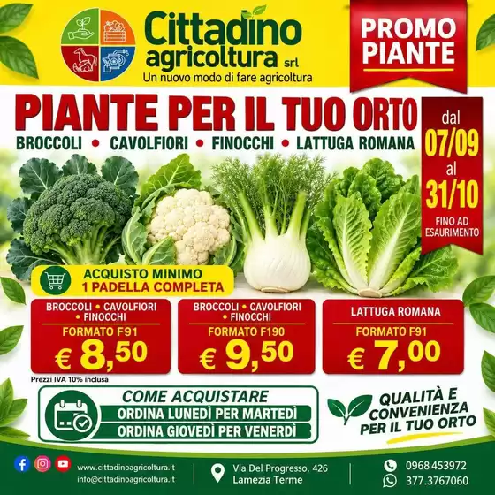 Volantino Cittadino Agricoltura | Piante per il tuo orto | 2026-09-07T00:00:00.000Z - 2026-10-31T00:00:00.000Z