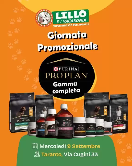 Volantino Lillo e i Vagabondi a Dairago | Offerte Lillo e i vagabondi | 2026-09-09T00:00:00.000Z - 2026-09-09T00:00:00.000Z