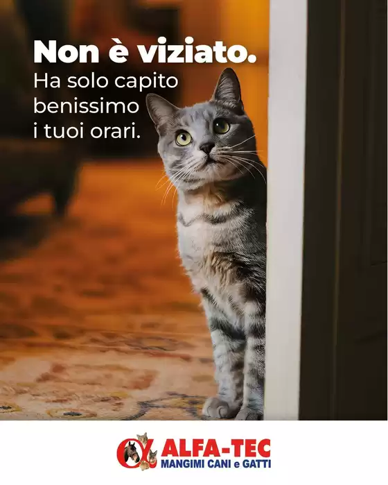 Volantino Alfa Tec a Tortona | Le migliori offerte per tutti i cacciatori di affari | 2026-09-16T00:00:00.000Z - 2026-09-30T00:00:00.000Z