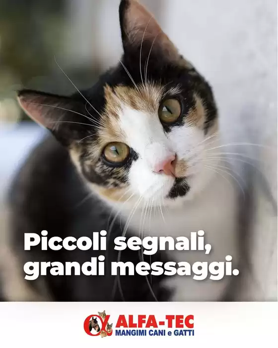 Volantino Alfa Tec a Scandiano | Grande offerta per cacciatori di affari | 2026-09-26T00:00:00.000Z - 2026-10-10T00:00:00.000Z