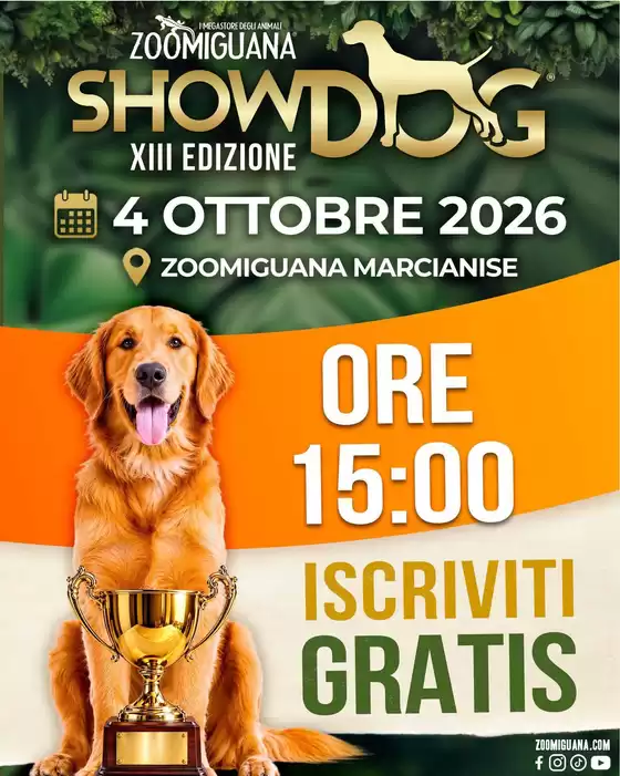 Volantino Zoomiguana a Bra | Offerte speciali per te | 2026-10-04T00:00:00.000Z - 2026-10-04T00:00:00.000Z