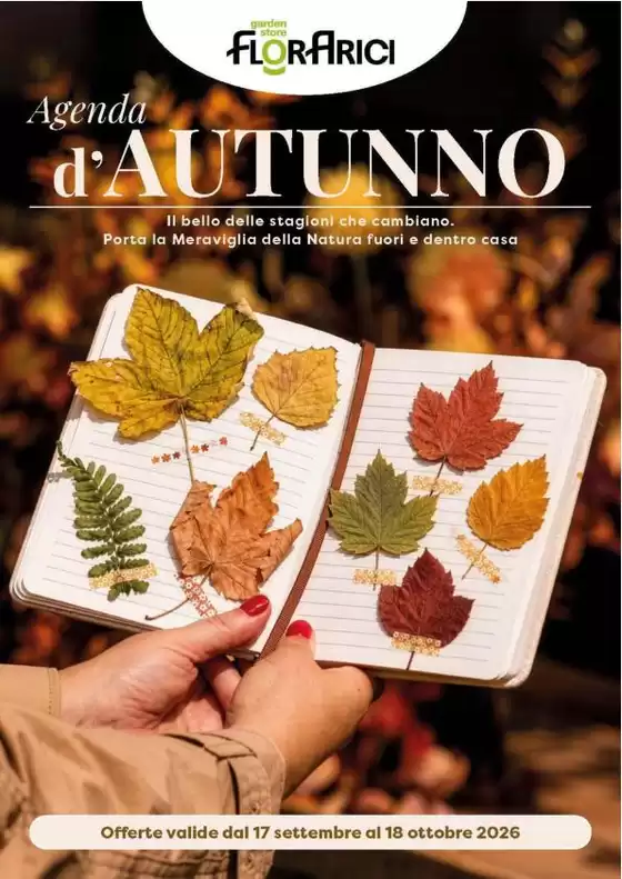 Volantino Florarici a Galatina | Offerte speciali attraenti per tutti | 2026-09-17T00:00:00.000Z - 2026-10-18T00:00:00.000Z