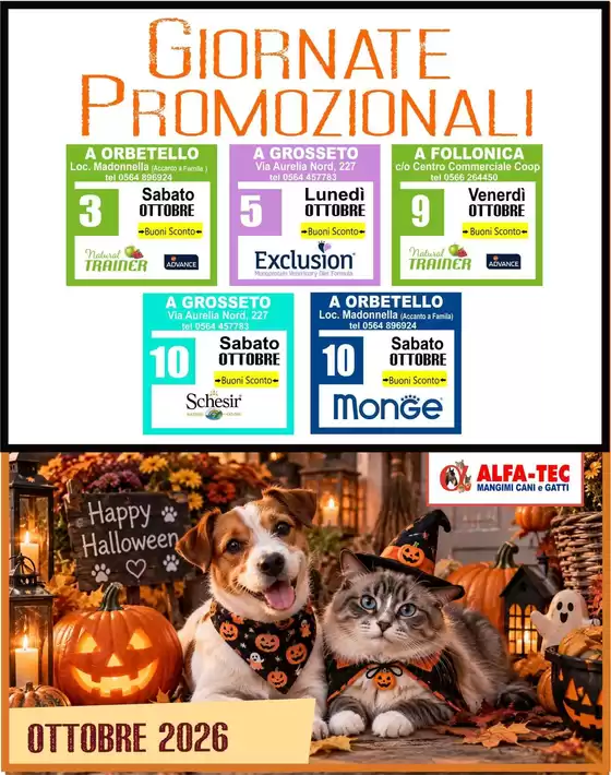 Volantino Alfa Tec a Pescara | Offerte esclusive e affari | 2026-10-03T00:00:00.000Z - 2026-10-10T00:00:00.000Z