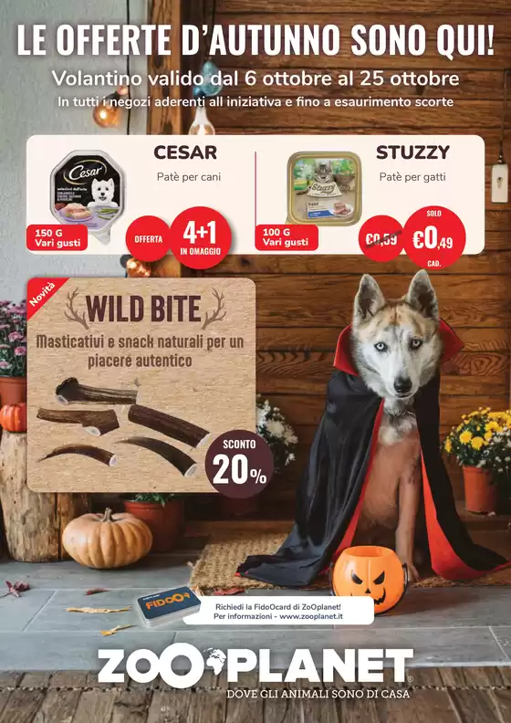 Volantino ZooPlanet a Murlo | 2051547ea677b7849a33795433f7773f4056b5df | 2026-10-06T00:00:00.000Z - 2026-10-25T00:00:00.000Z