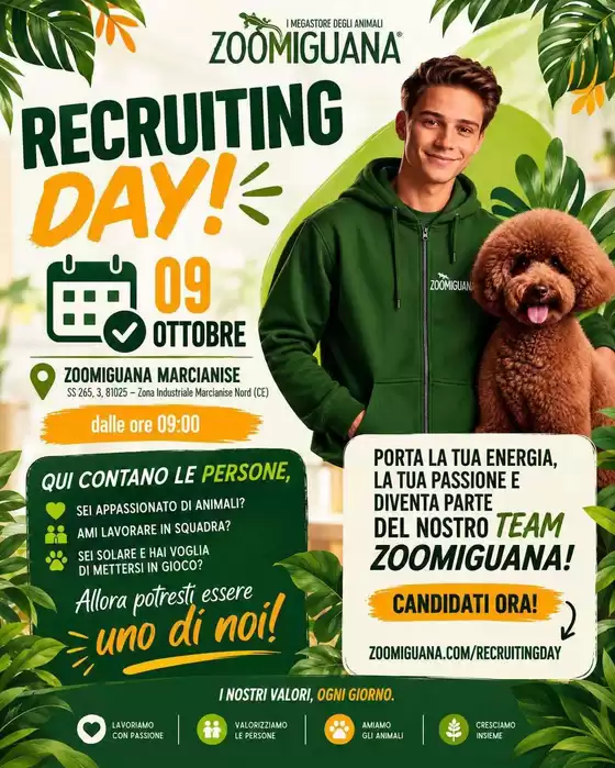 Volantino Zoomiguana a Cavriglia | I nostri migliori affari | 2026-10-09T00:00:00.000Z - 2026-10-09T00:00:00.000Z