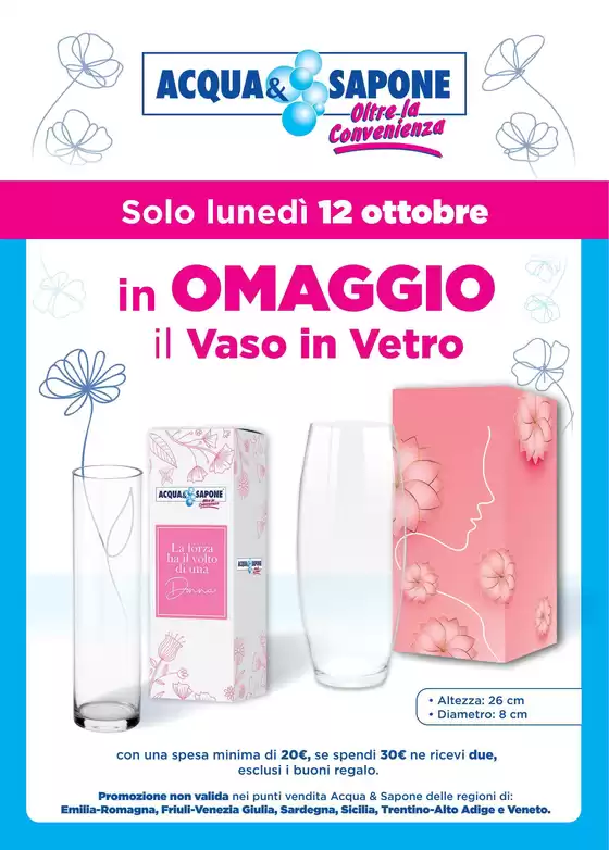 Volantino Acqua & Sapone a Succivo | In omaggio il vaso il vetro | 2026-10-12T00:00:00.000Z - 2026-10-12T00:00:00.000Z