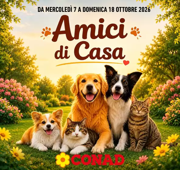 Volantino Conad a Nocciano | Amici di casa | 2026-10-07T00:00:00.000Z - 2026-10-18T00:00:00.000Z