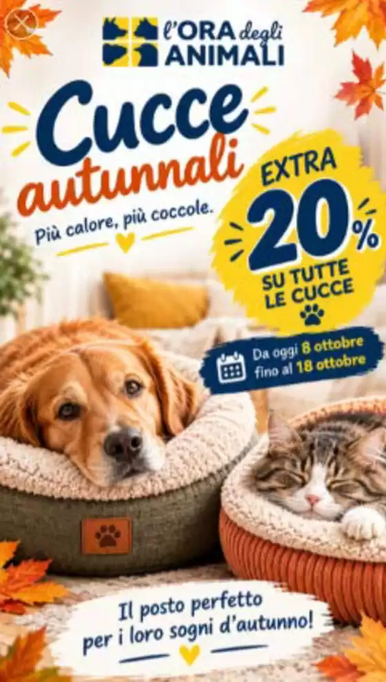 Volantino L'Ora degli Animali a Salerno | Cucce autunnali | 2026-10-13T00:00:00.000Z - 2026-10-18T00:00:00.000Z