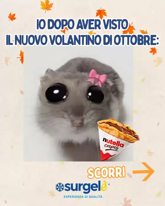 Volantino Surgelè | Io dopo aver visto | 2026-10-14T00:00:00.000Z - 2026-10-31T00:00:00.000Z