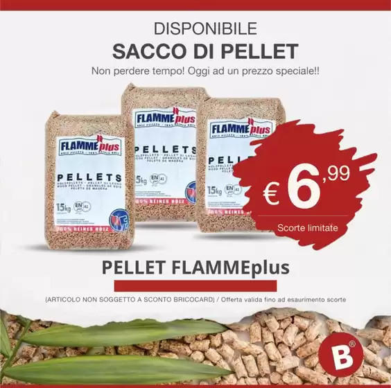 Volantino Bricocity | Offerta Pellet | 2026-10-20T00:00:00.000Z - 2026-10-31T00:00:00.000Z